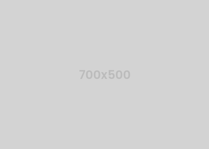 STRESS_TEST_227_Demo Toy-stores #227